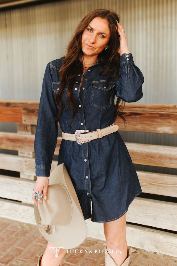 Tilda – Denim Button Down Shirt Dress