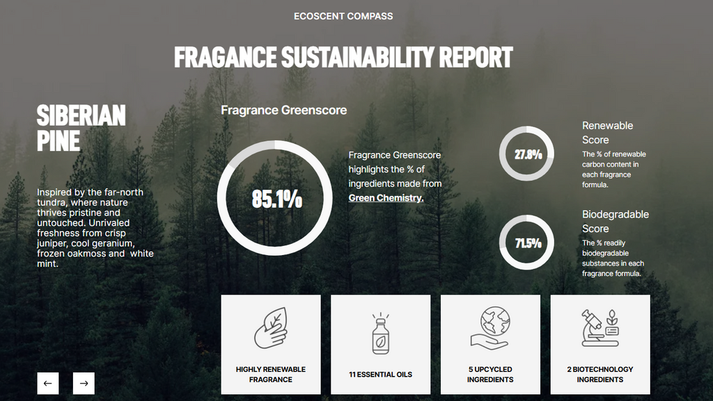 Fragrance sustainability report with a forest background and key performance indicators.