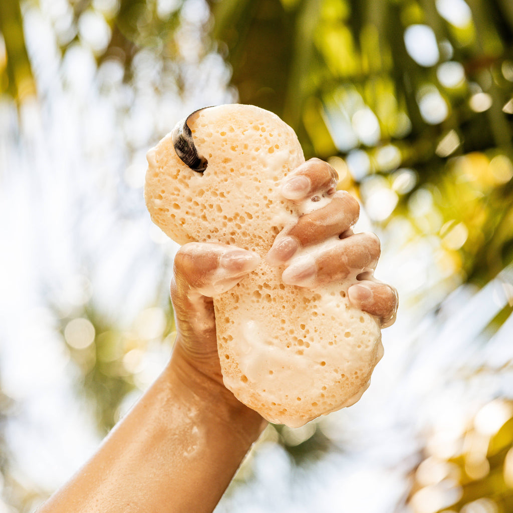Hand holding a beige sponge with a blurred natural background